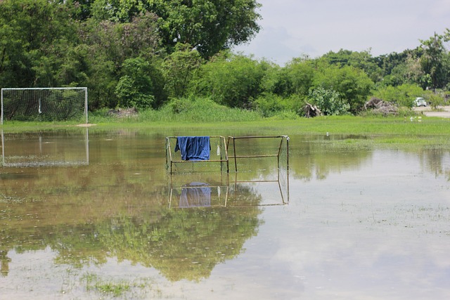 他在日常训 他在日常训