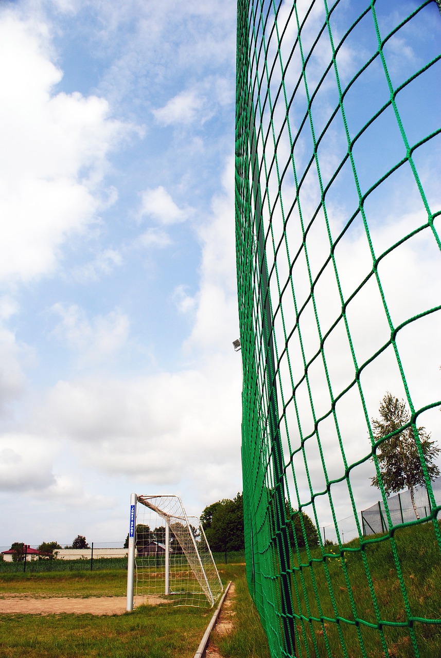 积极调整状 积极调整状