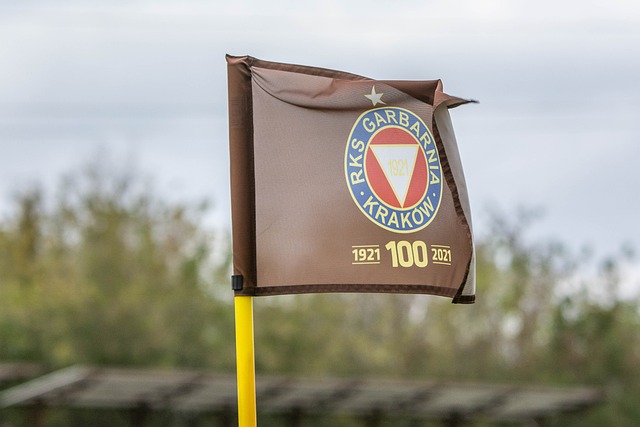 一个人照顾“全村人” 张国祥坦言挑战大.