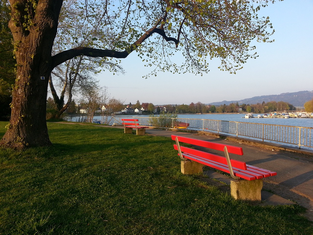 聚力的体现 聚力的体现